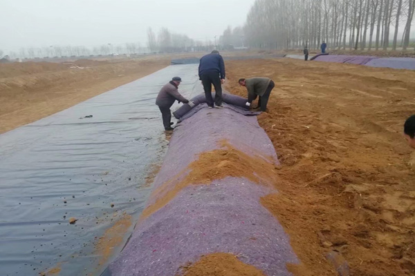 芭乐视频在线观看高清完整版在雨季鋪設的注意事項